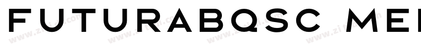 FuturaBQSC Medium字体转换